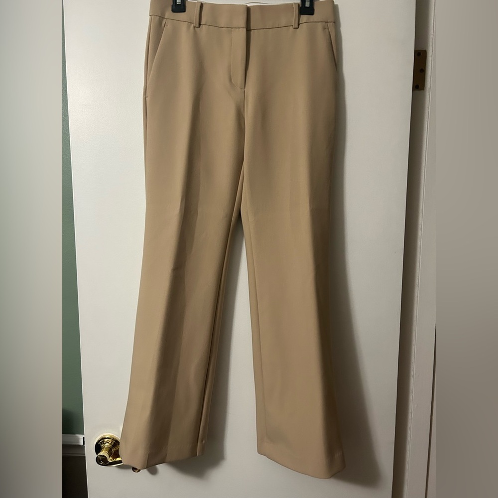 Ann Taylor Beige Trousers